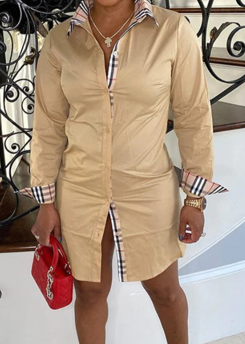 Collar Tunic Dress
