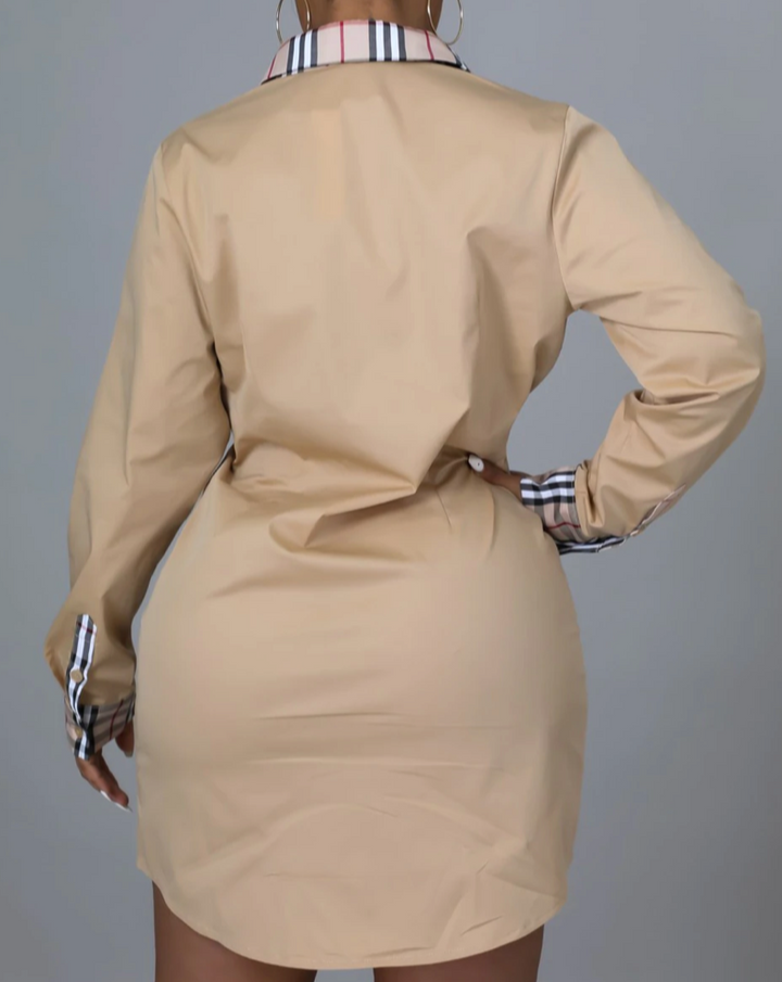 Collar Tunic Dress